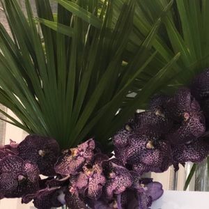 Meet your Posher, Cn